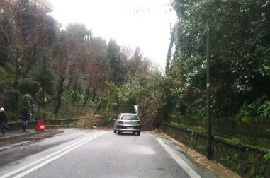 Roma resta in stato di emergenza maltempo. Una frana blocca persino la Cassia Antica poco dopo Ponte Milvio