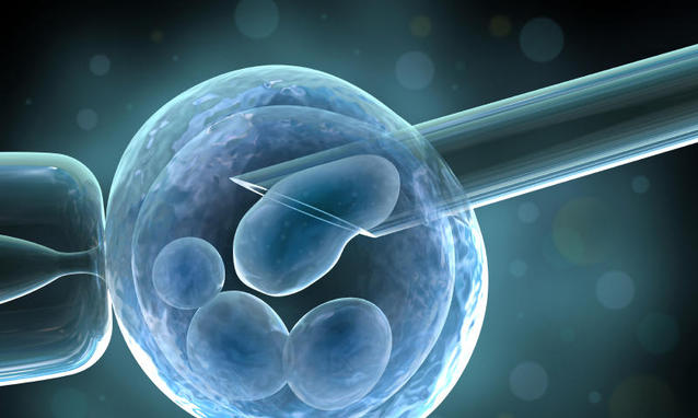 Corte Europea: le legge italiana che limita la ricerca sugli embrioni non limita i diritti umani