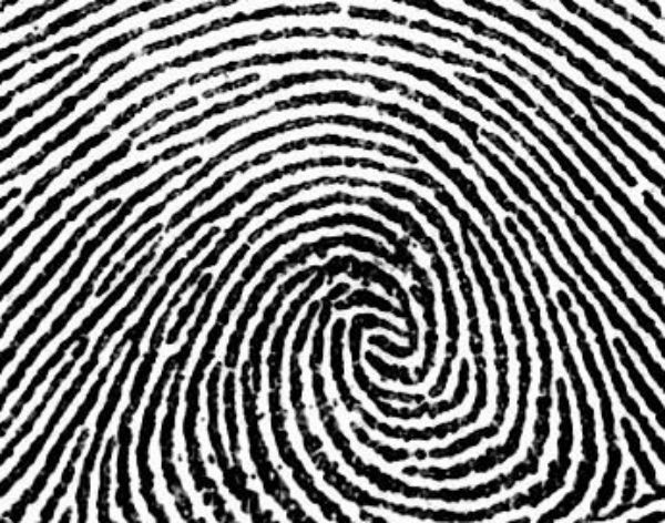 Casa Bianca: molto più grave il furto delle impronte digitali di dipendenti Usa, fatto dagli hacker ad aprile