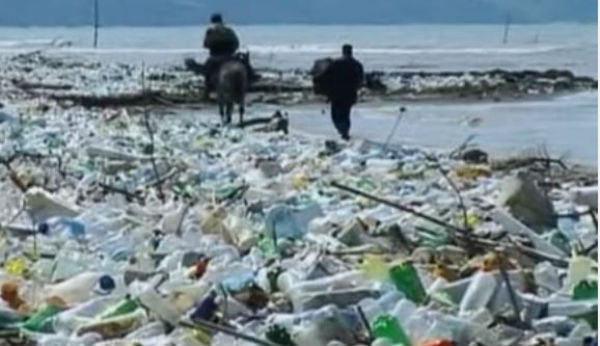 Nel 2050 ci potrebbe esserci in mare più plastica che pesci