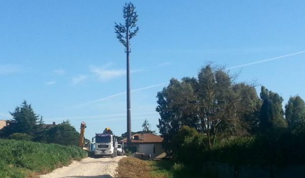 Roma: la mega antenna telefonica tra le case camuffata da albero … e la cattiva coscienza